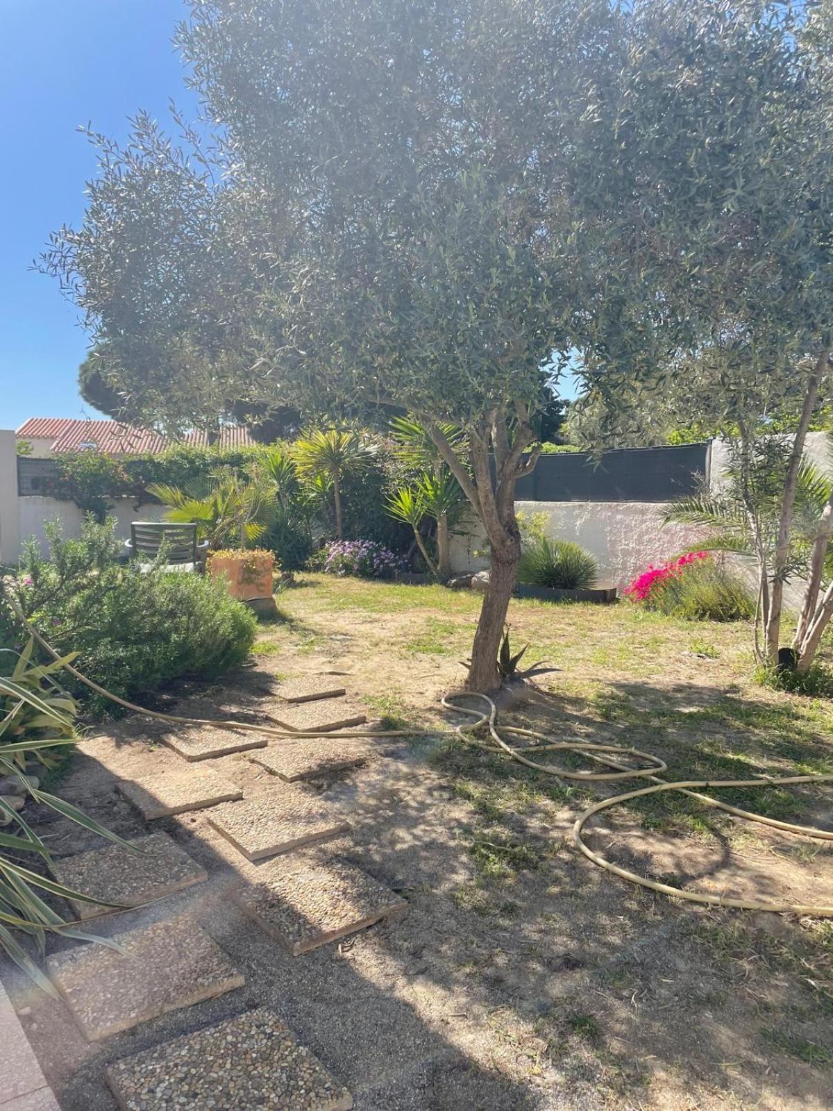 Belle Villa Classee 4 Etoiles Proche Plage Avec Jardin Saint-Cyprien  Eksteriør bilde
